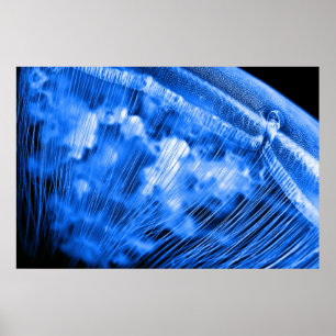 Affiche Lever de la lune bleue