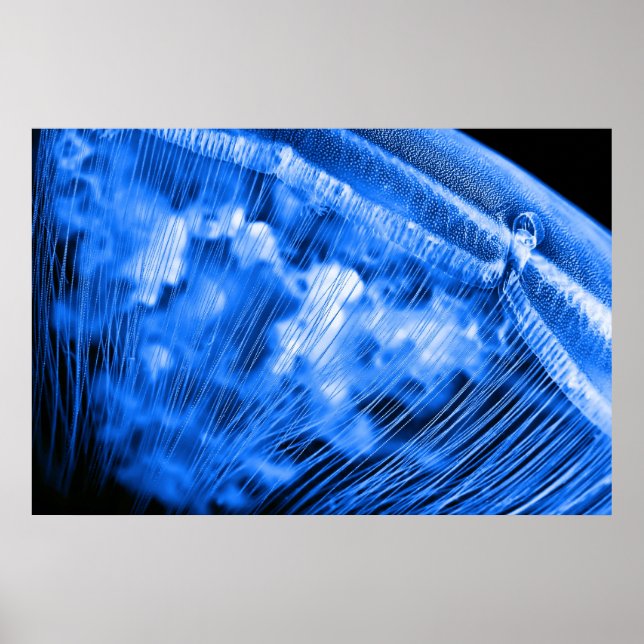 Affiche Lever de la lune bleue (Devant)