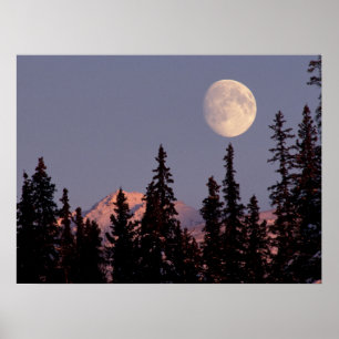 Affiche Lever de lune début de l'hiver Anchorage, Alaska