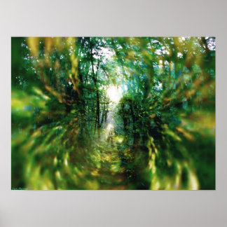 Affiche Lever de soleil dans la forêt 2