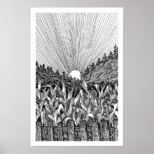 Affiche Lever de soleil dans un champ de maïs noir et blan