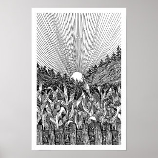 Affiche Lever de soleil dans un champ de maïs noir et blan