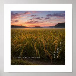 Affiche Lever de soleil dans un champ de riz japonais – Gr
