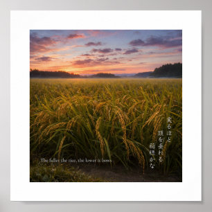 Affiche Lever de soleil dans un champ de riz japonais – Gr