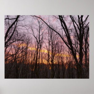 Affiche Lever de soleil hivernal II