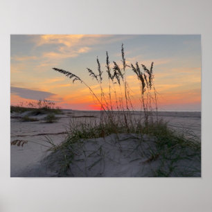 Affiche Lever de soleil sur la plage - Vie sur une île côt