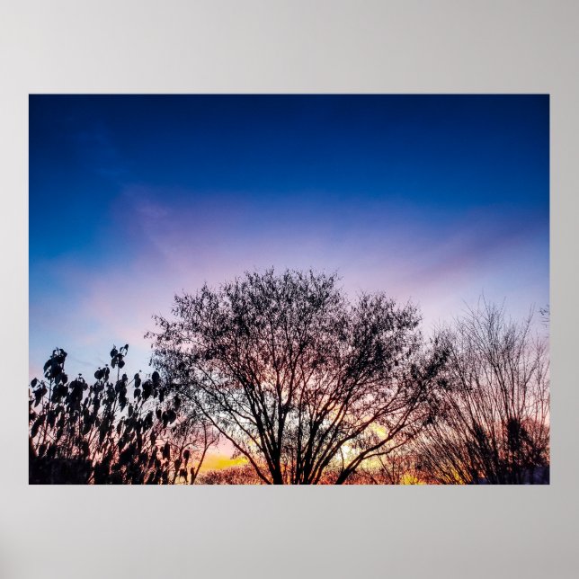 Affiche Lever de soleil sur les arbres (Devant)