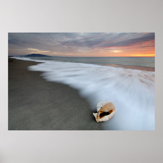 Affiche Lever Du Soleil Sur La Plage Et Un Coquillage (Devant)