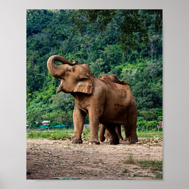 Affiche Levez-Vous Et Soyez Entendu (Devant)