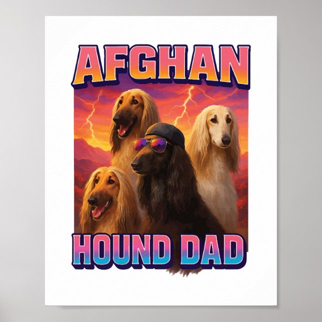Affiche Lévrier Afghan (Devant)