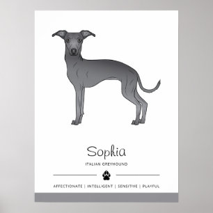 Affiche Lévrier Italien Bleu Chien Mignon Avec Texte Perso