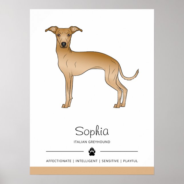 Affiche Lévrier Italien Fauve Chien Mignon Avec Texte Pers (Devant)