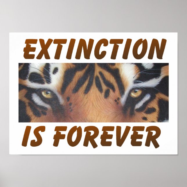 Affiche L'extinction est éternelle (Devant)