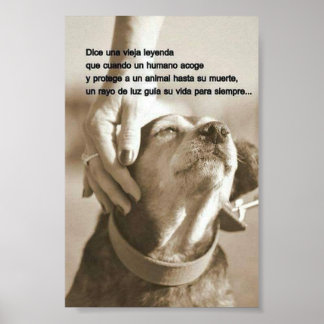 Affiche Leyenda sobre adoptar