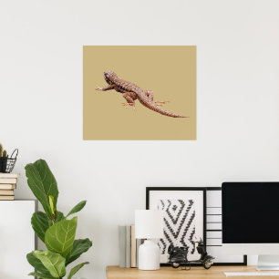 Affiche Lézard