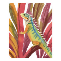Lézard des caraïbes