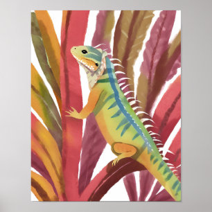 Affiche Lézard des caraïbes