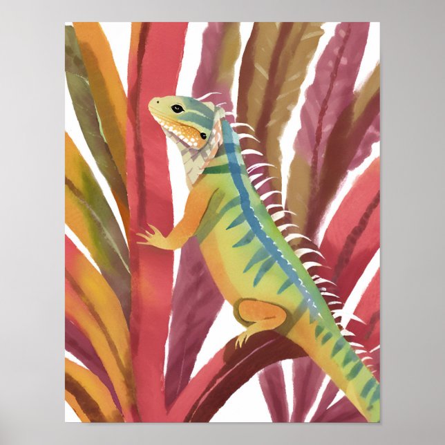 Affiche Lézard des caraïbes (Devant)
