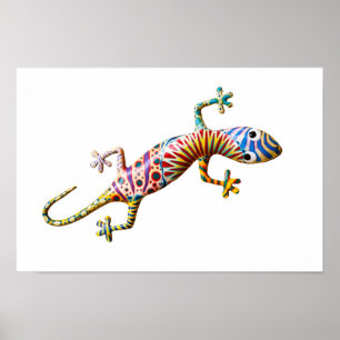 Affiche Lézard gekko coloré