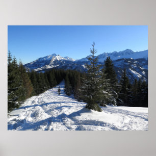 Affiche L'hiver des Tatras