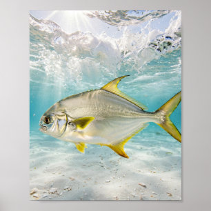 Affiche L'homme de Floride Pompano Surf Sable Blanc Pêche
