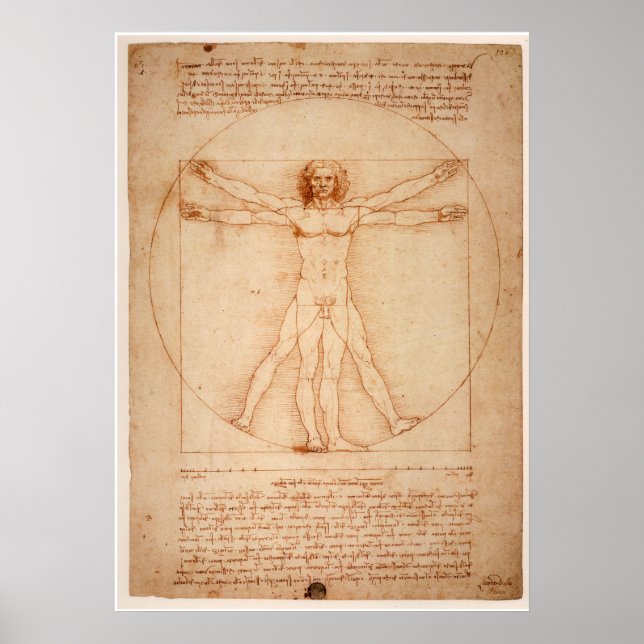 Affiche l'Homme de Vitruve de Léonard de Vinci (Devant)