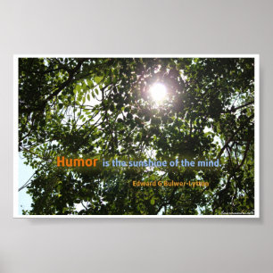Affiche "L'Humour est le soleil de l'esprit" Citation