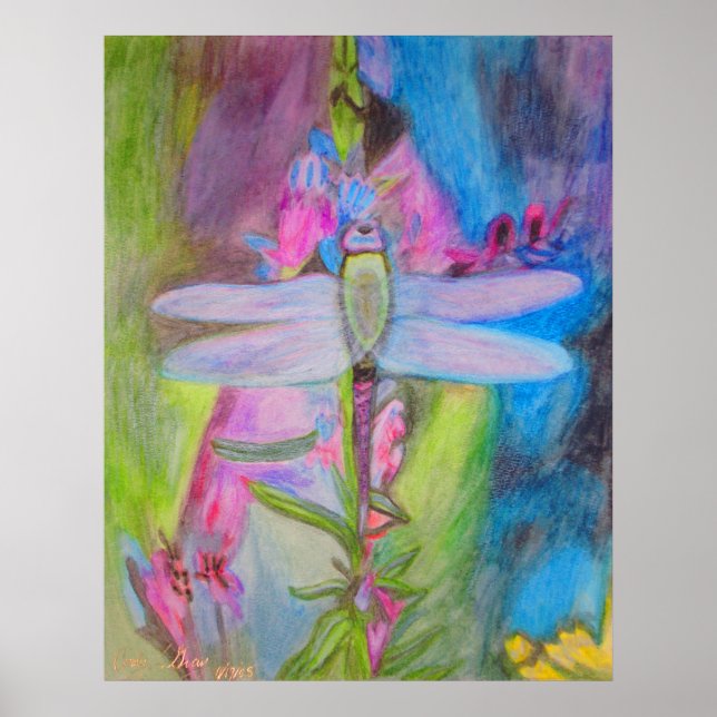 Affiche libellule (Devant)