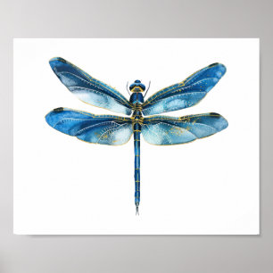 Affiche Libellule bleue