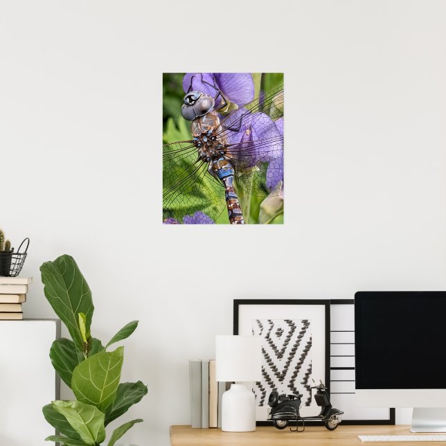 Affiche Libellule Darner aux Yeux Bleus Photographique (Bureau à domicile)