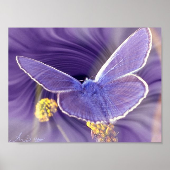 Affiche Liberté (Devant)