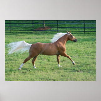 Affiche Liberté Joyeuse