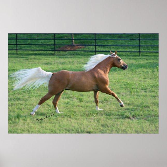 Affiche Liberté Joyeuse (Devant)