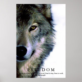 Affiche Liberté Motivation loup oeil