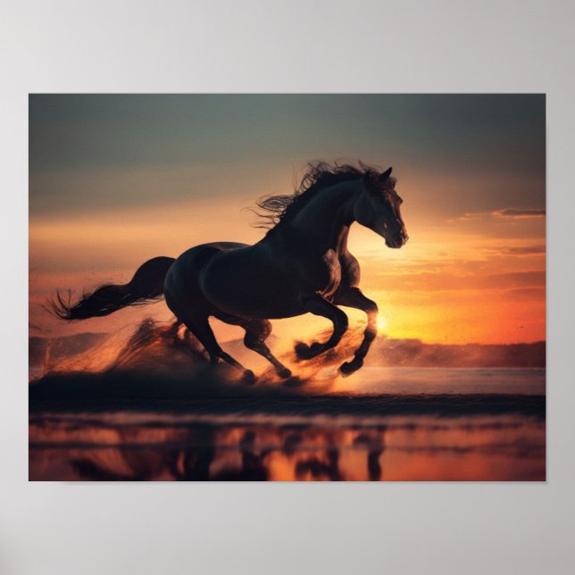 Affiche Liberté sur les sables (Devant)