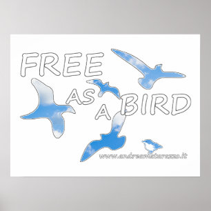 Affiche Libre comme un oiseau