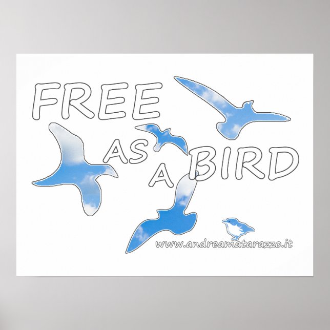 Affiche Libre comme un oiseau (Devant)