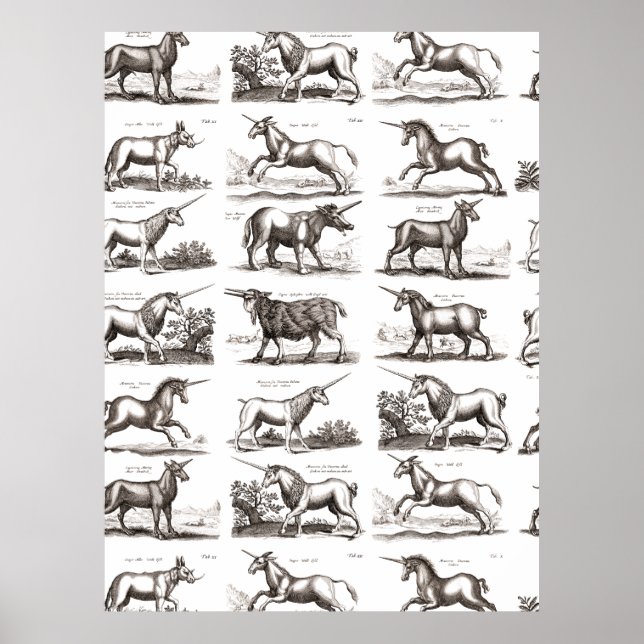 Affiche Licorne Classique Antique Créature Magique Mythiqu (Devant)