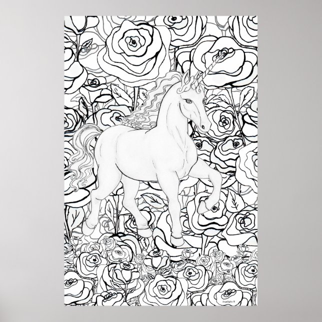 Affiche Licorne invisible (Devant)