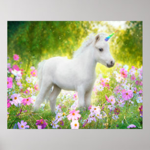 Affiche Licorne Poney Blanc