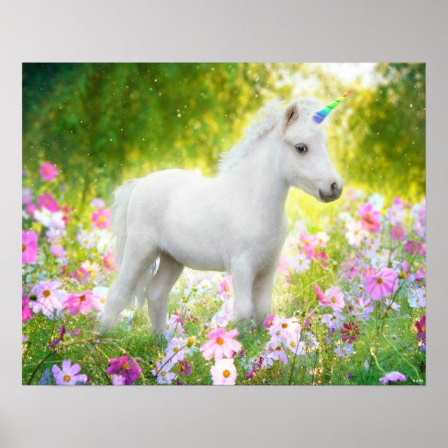 Affiche Licorne Poney Blanc (Devant)