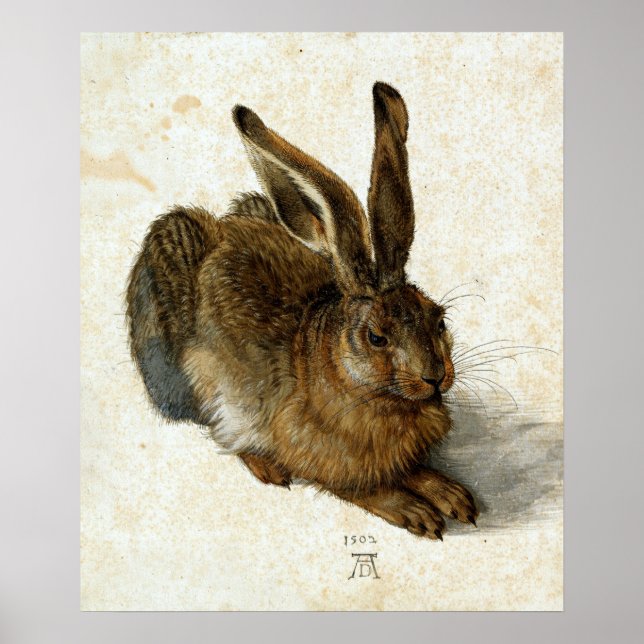 Affiche Lien par Albrecht Dürer (Devant)