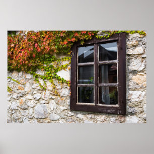 Affiche Lierre et fenêtre, Croatie