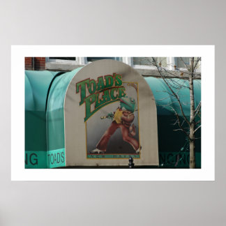 Affiche Lieu des crapauds