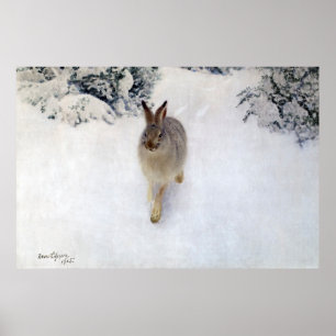 Affiche Lièvre d'hiver (lapin), Bruno Liljefors