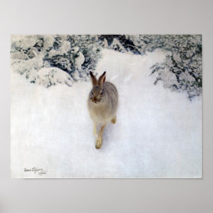 Affiche Lièvre d'hiver (lapin), Bruno Liljefors