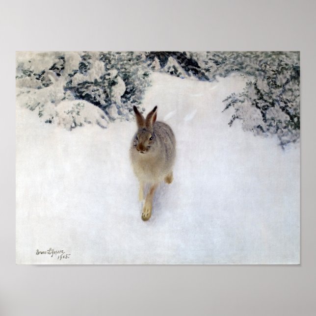 Affiche Lièvre d'hiver (lapin), Bruno Liljefors (Devant)