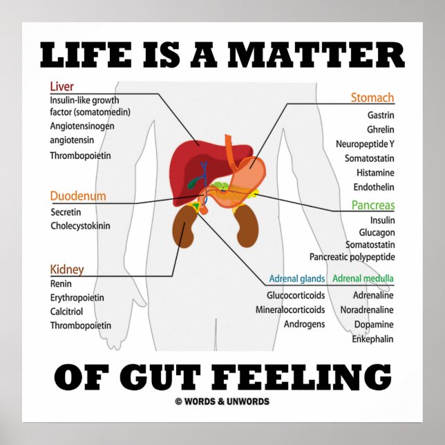Affiche Life Is A Matter Of Gut Feeling Anatomical Humor (Devant)