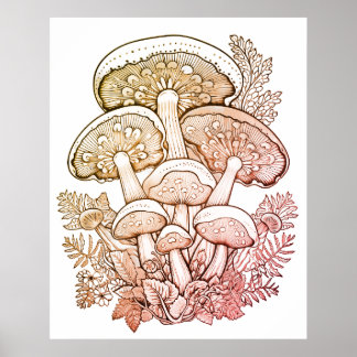 Affiche Light Brown Mushrooms on White Background on Wall