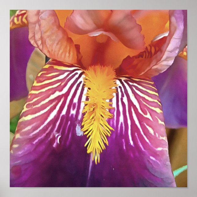 Affiche Light Iris Macro Artistique Abstrait (Devant)